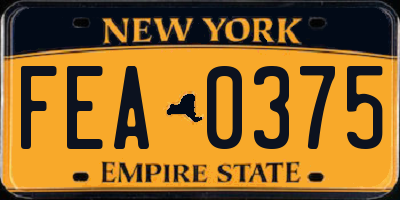 NY license plate FEA0375