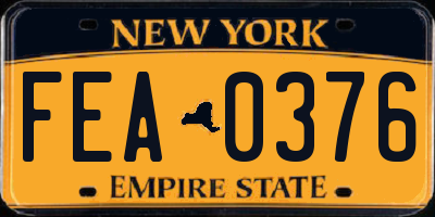 NY license plate FEA0376