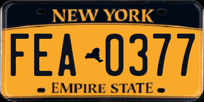 NY license plate FEA0377