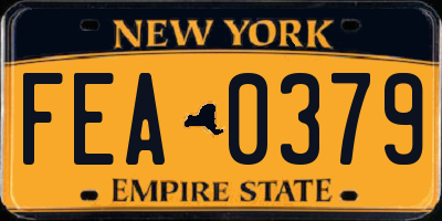 NY license plate FEA0379