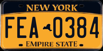 NY license plate FEA0384