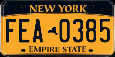 NY license plate FEA0385