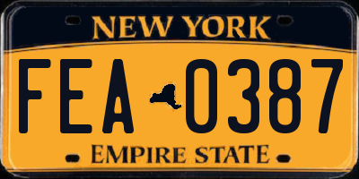 NY license plate FEA0387