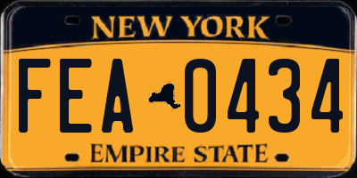 NY license plate FEA0434