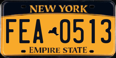 NY license plate FEA0513