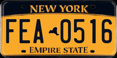 NY license plate FEA0516