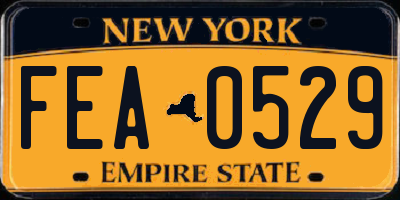 NY license plate FEA0529
