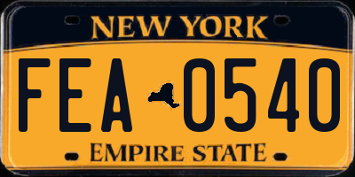 NY license plate FEA0540
