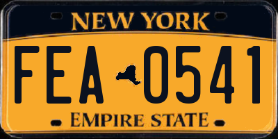 NY license plate FEA0541