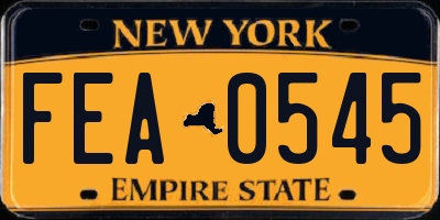 NY license plate FEA0545