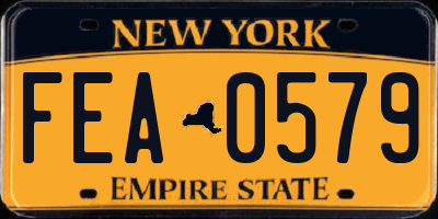 NY license plate FEA0579