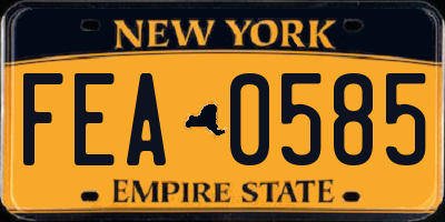 NY license plate FEA0585
