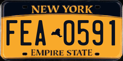NY license plate FEA0591