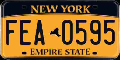 NY license plate FEA0595