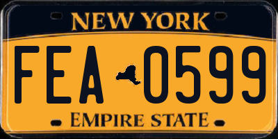 NY license plate FEA0599