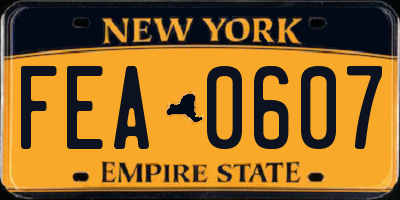 NY license plate FEA0607