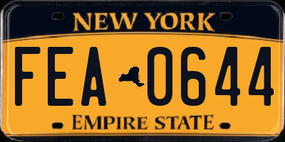 NY license plate FEA0644