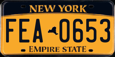 NY license plate FEA0653