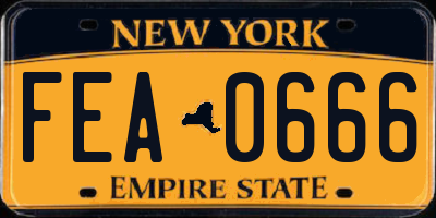 NY license plate FEA0666