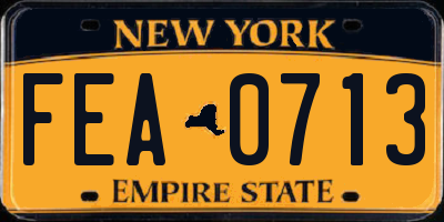 NY license plate FEA0713