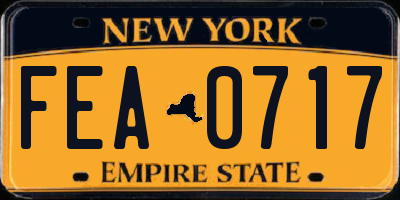 NY license plate FEA0717