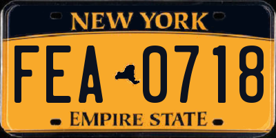 NY license plate FEA0718