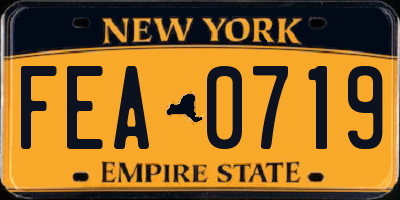 NY license plate FEA0719