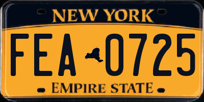 NY license plate FEA0725