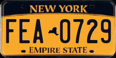 NY license plate FEA0729