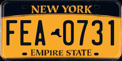 NY license plate FEA0731