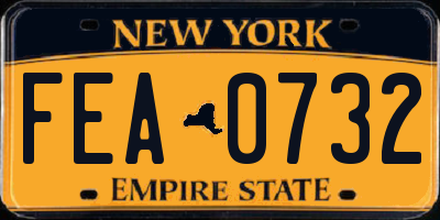 NY license plate FEA0732