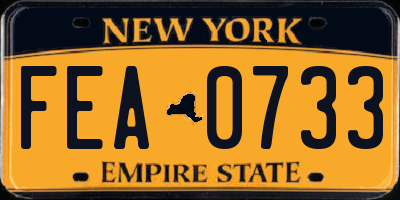 NY license plate FEA0733
