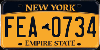 NY license plate FEA0734