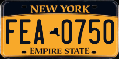 NY license plate FEA0750