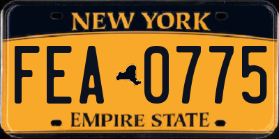 NY license plate FEA0775