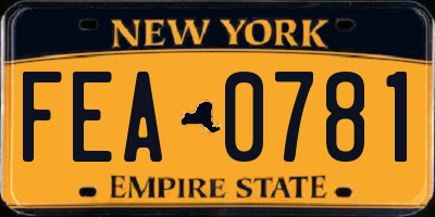 NY license plate FEA0781