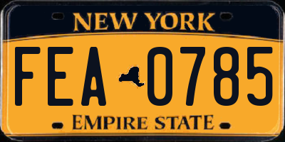 NY license plate FEA0785
