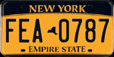 NY license plate FEA0787