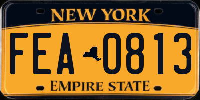 NY license plate FEA0813