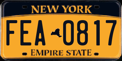 NY license plate FEA0817