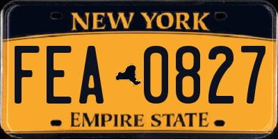 NY license plate FEA0827
