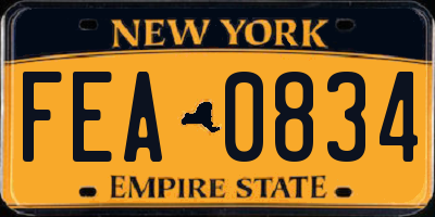 NY license plate FEA0834