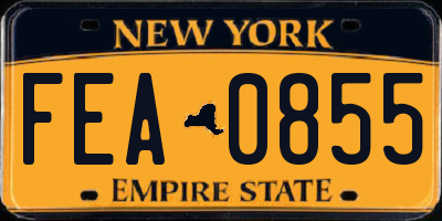 NY license plate FEA0855