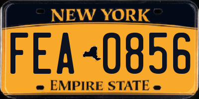 NY license plate FEA0856