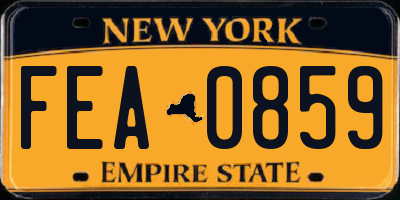NY license plate FEA0859