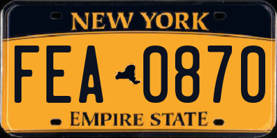 NY license plate FEA0870