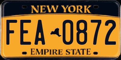 NY license plate FEA0872