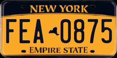 NY license plate FEA0875