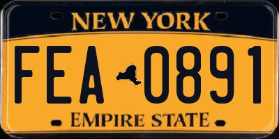 NY license plate FEA0891