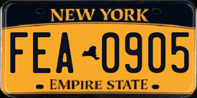 NY license plate FEA0905